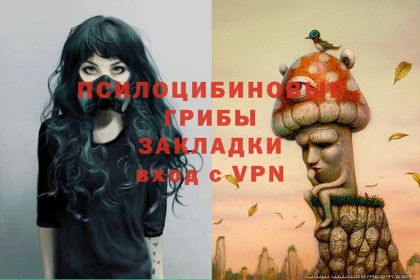 кокс Алзамай