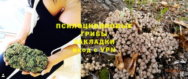 бутират Алексин