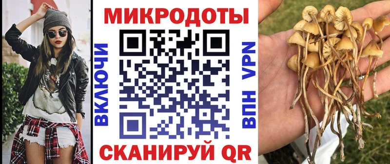 где продают наркотики  Волгоград  Псилоцибиновые грибы Cubensis 