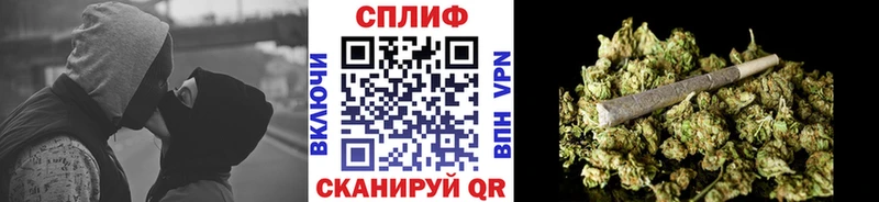 blacksprut tor  Волгоград  Каннабис планчик 